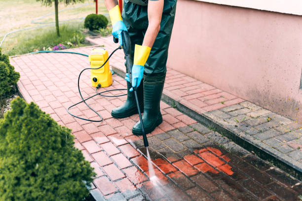 Best Sidewalk and Walkway Cleaning  in Rocky Point, WA
